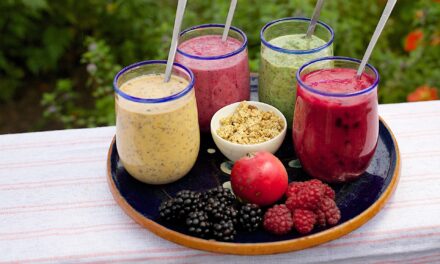 Which Type of Blender or Smoothie Maker is Best For My Family?
